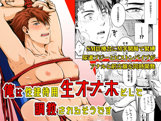 俺は性接待用生オナホとして調教されるそうです|拘束❤