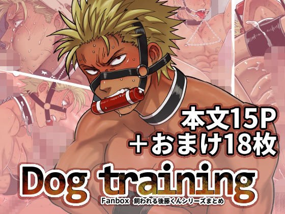 DOG TRAINING|筋肉❤