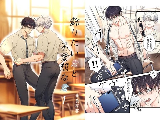 飾りたい君と不愛想な君1|学園もの❤ 飾りたい君と不愛想な君