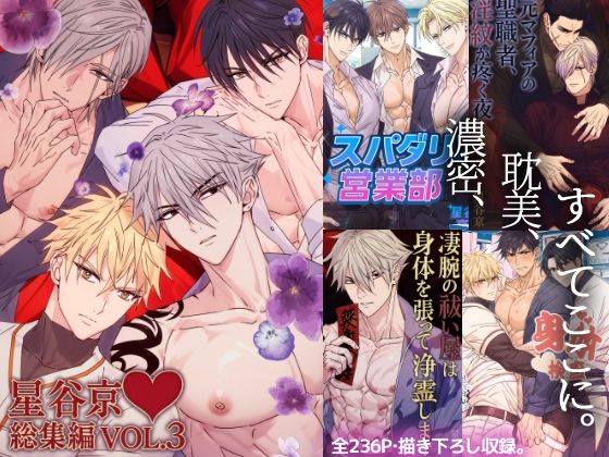 星谷京総集編 VOL.3|拘束❤